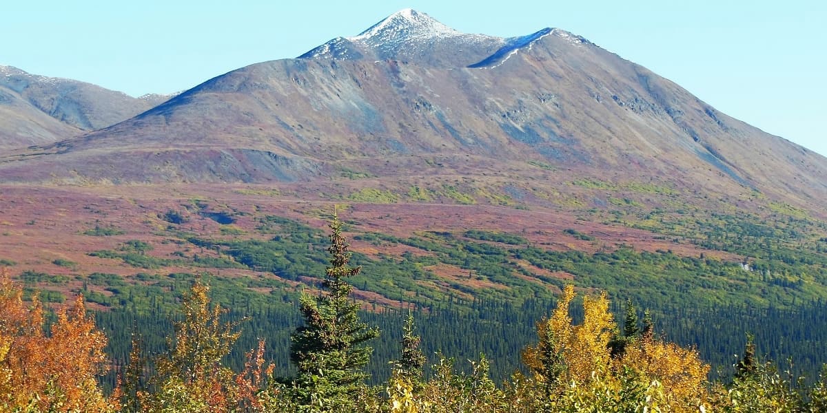 Backwoods Lodge fall